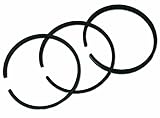 Briggs & Stratton 495854 Standard Piston Ring Set [並行輸入品]