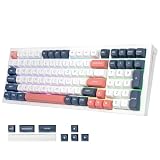 Redragon K723 ワイヤレス ゲーミングキーボード 96% テンキー付き 英語配列 銀軸 スピードリニア ホットスワップ ガスケット構造【BT/2.4G/USB有線】メカニカルキーボード Nキーロールオーバー RGBバックライト PC/Mac/PS5対応 (ホワイト&ブルー)
