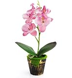装飾人工花アレンジメント人工シルク胡蝶蘭Moth Orchid Flower withポット ピンク CC0619HD