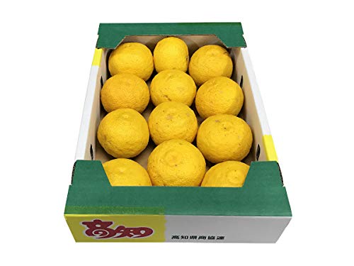 高知県産 黄色ゆず 10~15玉入り 約1.3kg(化粧箱) 高知県産 黄色ゆず 10~15玉入り 約1.3kg(化粧箱)