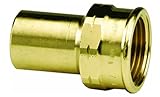 Viega ProPressブロンズアダプタとメス、1 / 2インチ1 / 2インチFTG X Female Npt 2 Pack 2