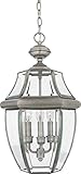 Quoizel NY1179P Newbury 3-Light Outdoor Hanging Lantern, Pewter [並行輸入品]