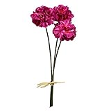 プリムラピック(3本) FXFPF0004BTY