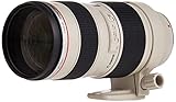 Canon EF Lレンズ 70-200mm F2.8L USM