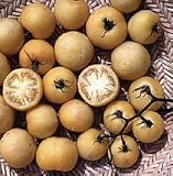 [桃のような外観の珍しいトマト　春まき 野菜タネ]トマト：ピーチトマト の種2袋セット