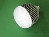 【1年間保証付き】水銀灯用大型ＬＥＤ　８０－１００Ｗ対応 (昼白色5300-6500K, E26)