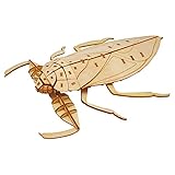 つくるんです ポケットバグズ タガメ 日本語説明書付