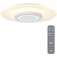 【節電・目に優しい光り方】アイリスオーヤマ LED シーリングライト おしゃれ 導光板 照明 調光調色 12畳 5200lm リモコン付き 薄型 省エネ 取付簡単 CEA-A12DLP