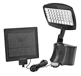 DE 45 LED Motion Act Solar Flo