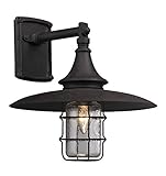 Troy Lighting Allegany 13"H 1-Light Outdoor Wall Light - Centennial Rust Finish with Clear Historic 