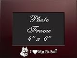 4x6 Brushed Metal Picture Frame-I love my Pit Bull-Burgundy by LXG, Inc.