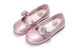 (チェリーレッド) CherryRed 子供靴 キッズ 女の子用 フォーマル靴 可愛い お花 発表会 結婚式 卒園式 卒業式 入学式 七五三 29 ピンク