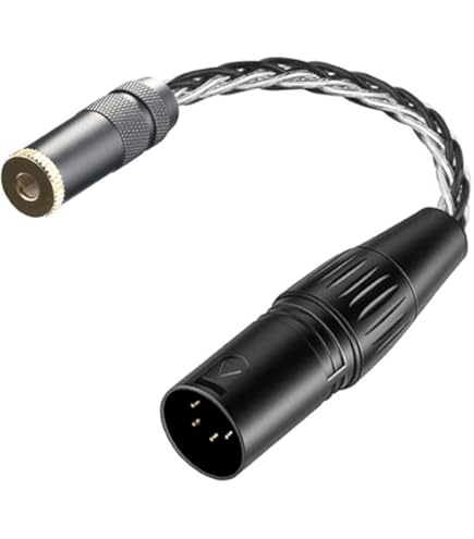 ゼンハイザー バランスケーブル CH800S【国内正規品】 Amazon.co.jp: ゼンハイザー HD 800S/800用4.4mm ペンタコン