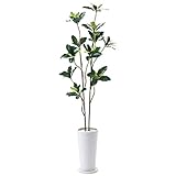 GREENPARK ホワイトチーズウッド 皿付スリムプランター H36 リバーロック 造花 フェイクグリーン