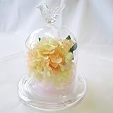 誕生日プレゼント女性 プリザーブドフラワー 花 フラワーアレンジメント あじさい ガラスのドーム (オレンジ)