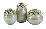 IMAX Tilly Floral Lidded Vases, Set of 3 [並行輸入品]