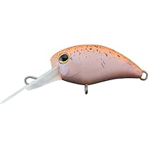 ティモン　ジャッカル　ペピーノ　DR MR セット JACKALL（ジャッカル） TIMON ティモン Pepino ペピーノ MR / DR