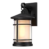 Westinghouse 6312500 Albright One-Light Outdoor Large Wall Lantern with Amber Frosted and Clear Seed