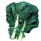 国華園　野菜たね　漬菜　かつお菜　1袋(20ml入)【※発送が国華園からの場合のみ正規品です】