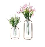 LS Hyindoor 水耕栽培 金属枠 透明 ガラス 花瓶 テラリウム容器 花 植物ポット フラワーベース ローズゴールド