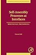 Self-Assembly Processes at Interfaces: Multiscale Phenomena (Interface Science and Technology)