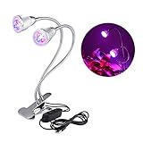 LEDGLE 植物ライト - 10W LEDクリップデスクランプ クランプフレキシブルネックプラントライト 温室ライト