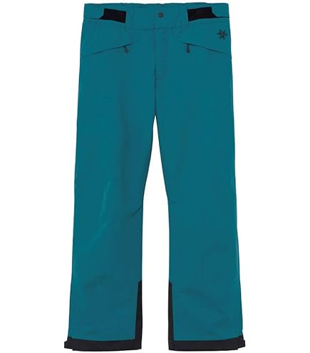 Amazon.co.jp: GOLDWIN ゴールドウイン スキーウェア パンツ