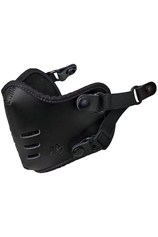 トリックスター / Ninja650（23-25）Z650(23-25) 政府認証フル