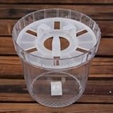 　ヒアシンス　水栽培ポット　１球用