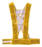 ナイトリーダータスキ型 NL-007 (ゴールド)