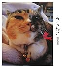 うちねこ写真集