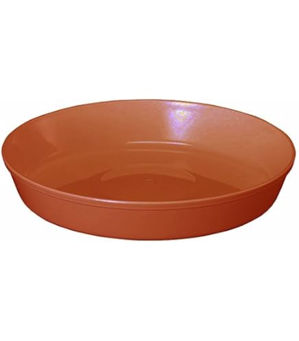 Amazon | アップルウェアー プレート 受皿 陶鉢皿 5号 きん茶