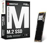 BIOSTAR M.2 NVMe Gen3×4 対応SSD 1 TB [ M700-1TB ]