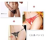 「小丸子の花轮クン」過激シースルーセーラーコス セクシー かわいい 可愛い ふんどし型ショーツ セクシー下着*3(三条パンツ)