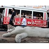 トルコのねこ（イカロスカレンダー2025） ([カレンダー])