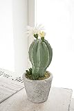 COVENT GARDEN（コベントガーデン） カクタスポット・ロング 造花 人工観葉植物 VU-16 【まとめ買い×4セット】
