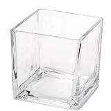 ガラスベース ニューブロックL エアプランツ 多肉植物 ティランジア ガラス