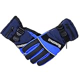 Warmspace 2000mAh　バイク用　アウトドア用品　男女用　電気ヒーター手袋　電池式 (XL(ブルー))