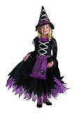 Girls Fairytale Toddler Witch Costume