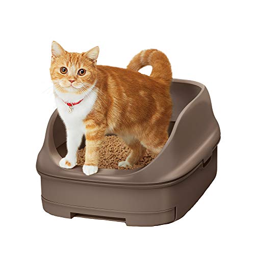 https://images-fe.ssl-images-amazon.com/images/I/41UbqswHVmL.jpg