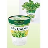 アーテック フレッシュベジ 102950 ベビーリーフミックス