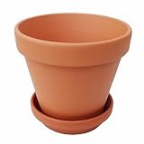 スタンダードポット 3.5号 植木鉢 受け皿付き 陶器 ドイツ製