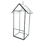 Baoblaze プロパゲータ　マイクロ風景　グラス　テラリウム　ミニチュア　ガーデン　ジオメトリ