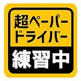 超ペーパードライバー練習中 カー マグネットステッカー