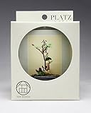 プラッツ 野草盆栽【黒角鉢】