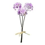 プリムラピック(3本) FXFPF0004LAV