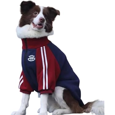 Amazon.co.jp 最新リリース: 犬用シャツ・パーカー の新着ランキングです。