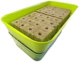お試しｽﾌﾟﾗｳﾄ栽培ｷｯﾄ ﾌﾟﾛ御用達 苗床付き【緑 Lｻｲｽﾞ】