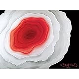 花の内 – レッドby David Bromstad – 18 x 12