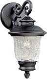 Forte Lighting 1726-01-04 Exterior Wall Light with Clear Crackle Glass Shades, Black [並行輸入品]